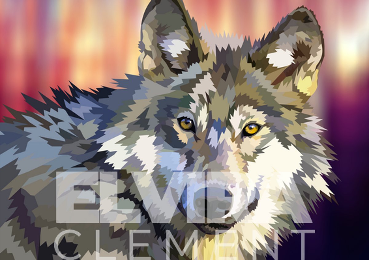 Diamond Painting pakket volwassenen - Afbeelding: Wolf [Elvira Clement] - 30 x 45 cm volledige bedekking, vierkante steentjes - 100% Nederlandse productie!